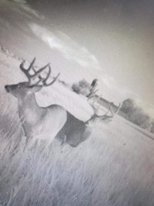 Southeast Iowa Home & Hunting Land For Sale with Pond - image 4