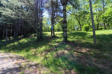 Potential Rental Property for Sale in Hillsville VA! - image 14
