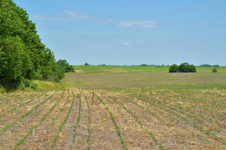 Sullivan County Mo Tillable Row Crop Farm - image 19