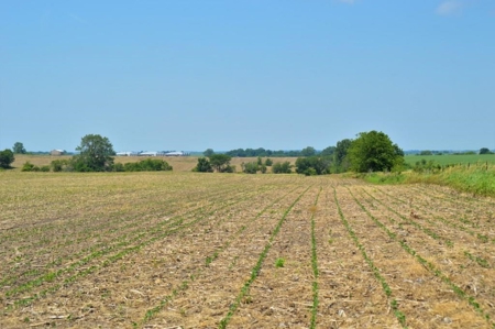 Sullivan County Mo Tillable Row Crop Farm - image 23