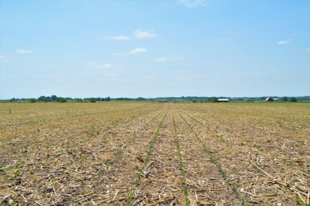 Sullivan County Mo Tillable Row Crop Farm - image 4