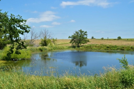 Sullivan County Mo Tillable Row Crop Farm - image 9