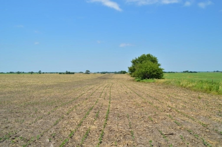 Sullivan County Mo Tillable Row Crop Farm - image 21