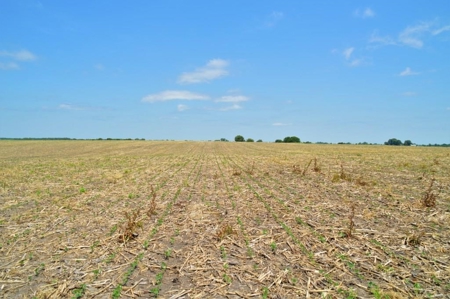 Sullivan County Mo Tillable Row Crop Farm - image 14
