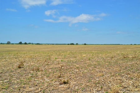 Sullivan County Mo Tillable Row Crop Farm - image 5
