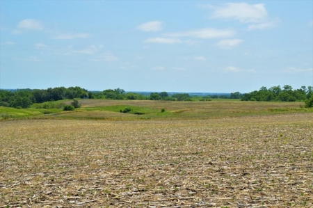 Sullivan County Mo Tillable Row Crop Farm - image 18