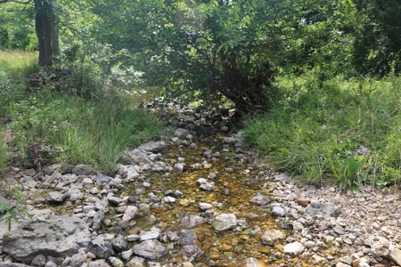 Ranch in Cabool, MO Nestled in the National Forest - 318 Ac. - image 13