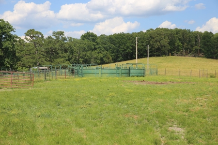 Ranch in Cabool, MO Nestled in the National Forest - 318 Ac. - image 15