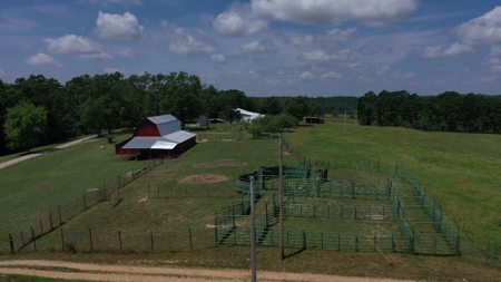 Ranch in Cabool, MO Nestled in the National Forest - 318 Ac. - image 3