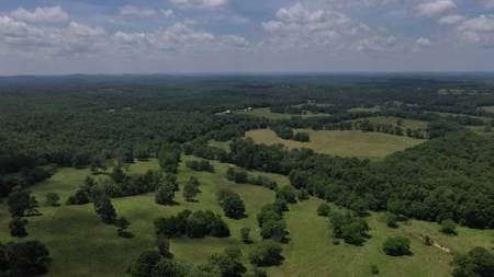Ranch in Cabool, MO Nestled in the National Forest - 318 Ac. - image 2