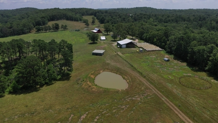 Ranch in Cabool, MO Nestled in the National Forest - 318 Ac. - image 5