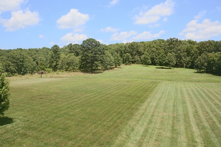 Ranch in Cabool, MO Nestled in the National Forest - 318 Ac. - image 12