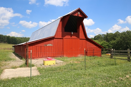 Ranch in Cabool, MO Nestled in the National Forest - 318 Ac. - image 16