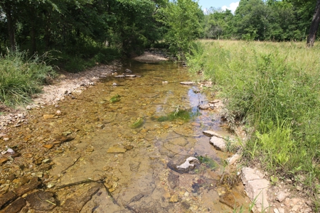 Ranch in Cabool, MO Nestled in the National Forest - 318 Ac. - image 14