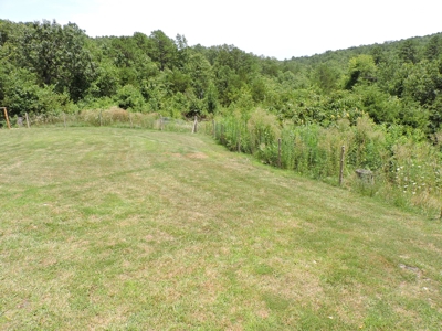 Off the Grid Home on Acreage Near Bull Shoals Lake for Sale - image 8