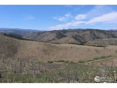 Mummy Range Views from this Open Mountain Lot - image 5