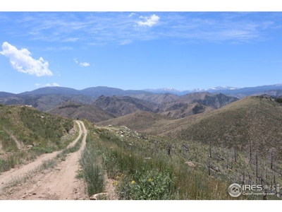 Mummy Range Views from this Open Mountain Lot - image 4