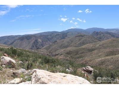 Mummy Range Views from this Open Mountain Lot - image 9