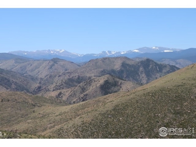 Mummy Range Views from this Open Mountain Lot - image 3
