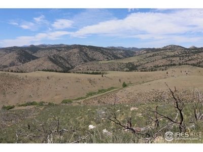 Mummy Range Views from this Open Mountain Lot - image 7