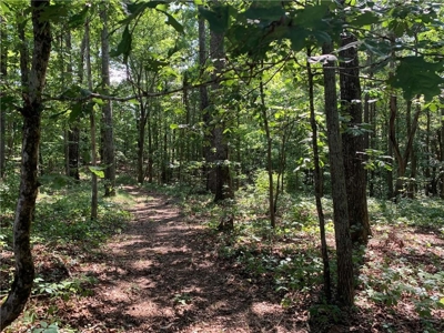 Land for sale in Ball Ground - image 3