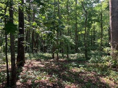 Land for sale in Ball Ground - image 4