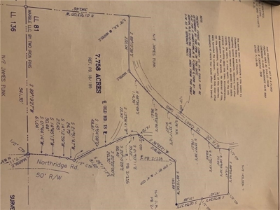 Land for sale in Ball Ground - image 9