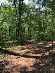 Land for sale in Ball Ground - image 2
