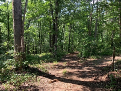Land for sale in Ball Ground - image 6