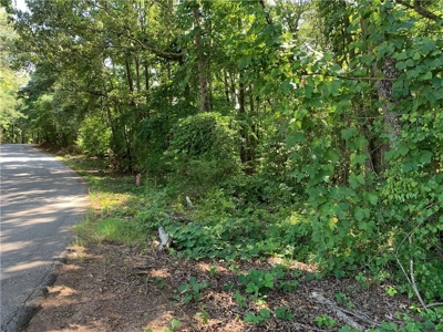 Land for sale in Ball Ground - image 7