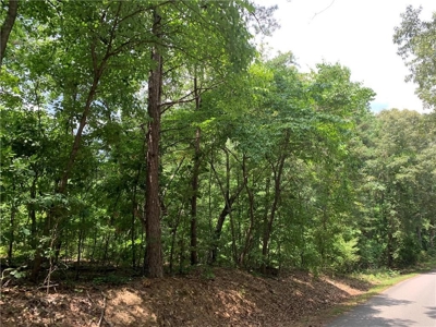 Land for sale in Ball Ground - image 5