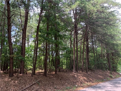 Land for sale in Ball Ground - image 1