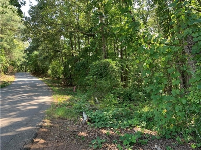 Land for sale in Ball Ground - image 8
