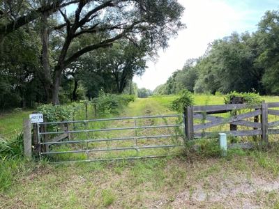 Suwannee River Listing - image 17