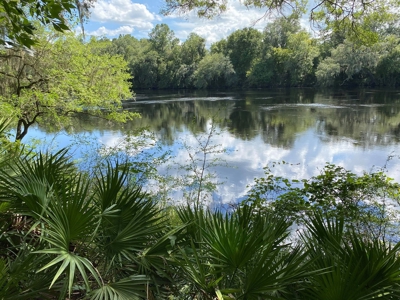 Suwannee River Listing - image 1