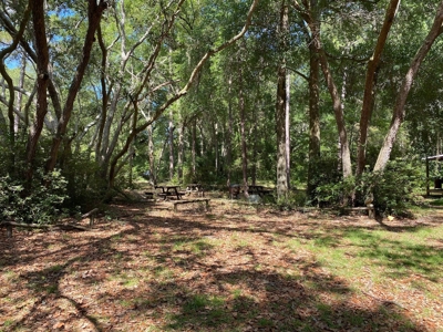 Suwannee River Listing - image 12