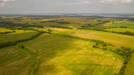 Farm & Ranch For Sale in Cedar County, MO - Auction - image 47