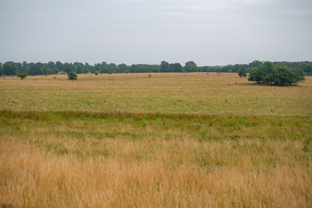 Farm & Ranch For Sale in Cedar County, MO - Auction - image 10