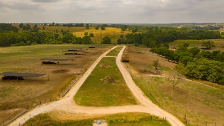Farm & Ranch For Sale in Cedar County, MO - Auction - image 24