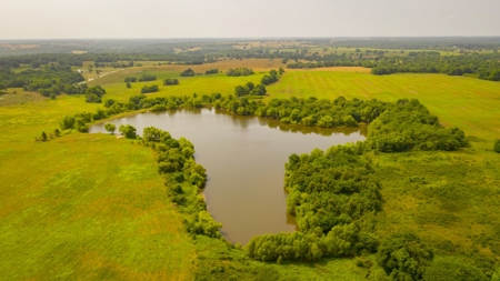 Farm & Ranch For Sale in Cedar County, MO - Auction - image 33