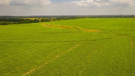 Farm & Ranch For Sale in Cedar County, MO - Auction - image 48