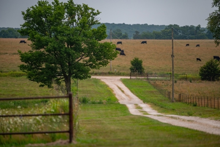 Farm & Ranch For Sale in Cedar County, MO - Auction - image 7