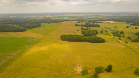Farm & Ranch For Sale in Cedar County, MO - Auction - image 23