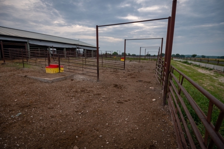 Farm & Ranch For Sale in Cedar County, MO - Auction - image 17