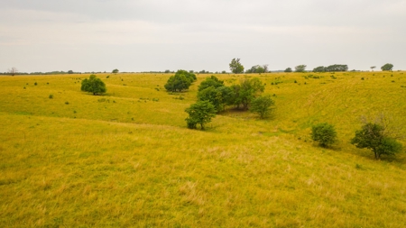 Farm & Ranch For Sale in Cedar County, MO - Auction - image 38