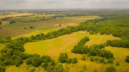Farm & Ranch For Sale in Cedar County, MO - Auction - image 45