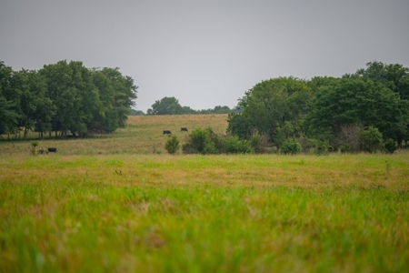 Farm & Ranch For Sale in Cedar County, MO - Auction - image 31