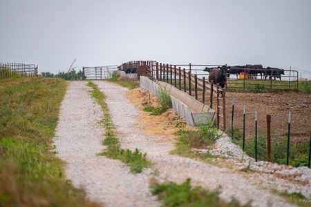 Farm & Ranch For Sale in Cedar County, MO - Auction - image 18