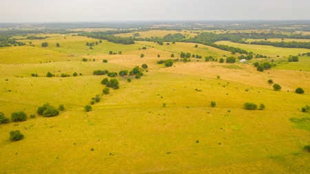 Farm & Ranch For Sale in Cedar County, MO - Auction - image 39