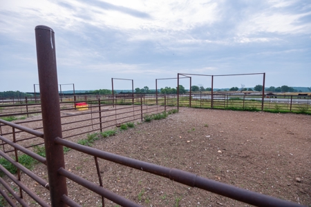 Farm & Ranch For Sale in Cedar County, MO - Auction - image 14